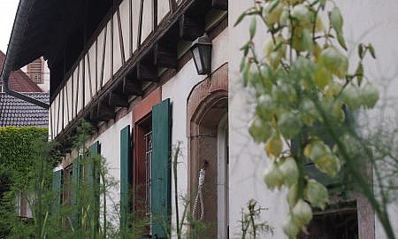 Blaesheim, bien remarquable et champ des possibles à la vente - annonce d'habitat participatif à Strasbourg