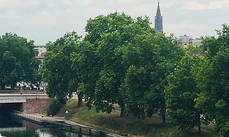 A la location, studio neuf meublé – écoquartier Danube / 1er août 2021 - annonce d'habitat participatif à Strasbourg