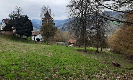 Rothau – Vallée de Schirmeck – Le projet « Jardin Bambois » recherche 2 foyers pour compléter son groupe - annonce d'habitat participatif à Strasbourg