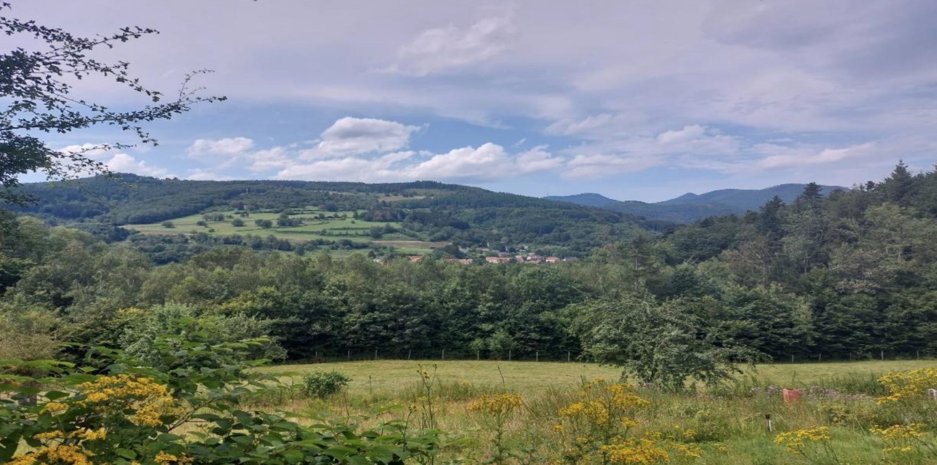Rothau – Vallée de Schirmeck – Le projet « Jardin Bambois » recherche 3 à 4 foyers